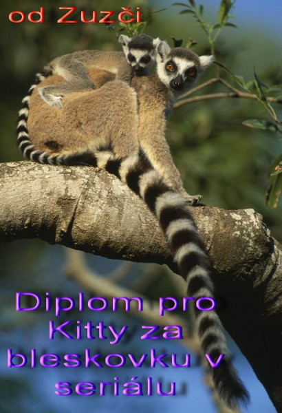 Catta_lemur_2_Copyright_by_Nic