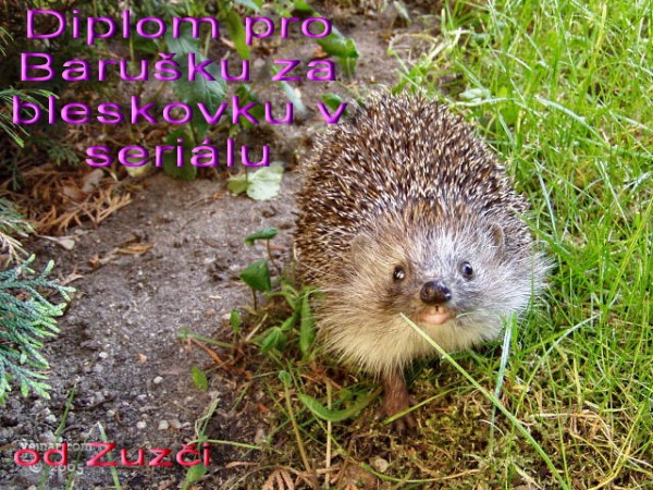 jezek