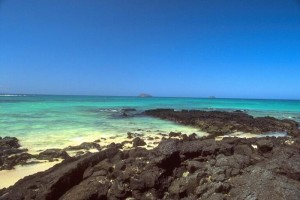 galapagy_7_v