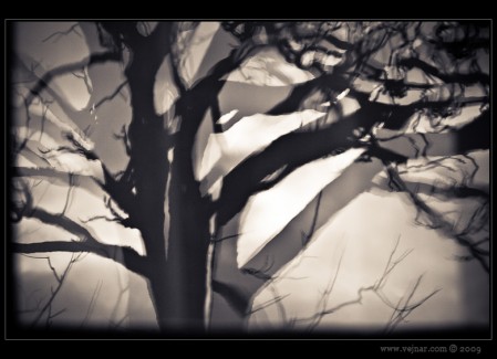 fotky06