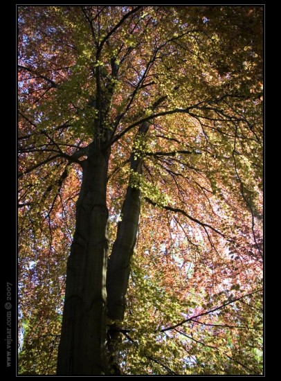 priroda-foto01
