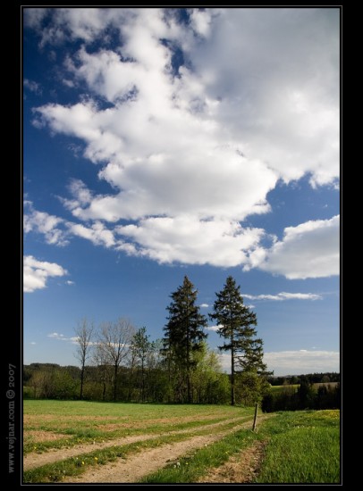 priroda-foto02