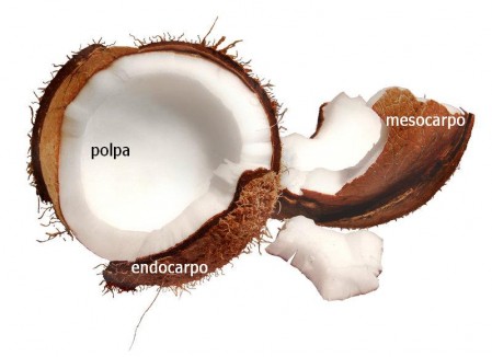 Crackedcoconut_PT
