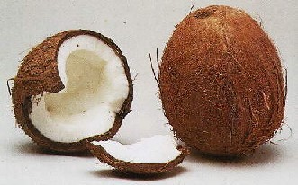 Kokos
