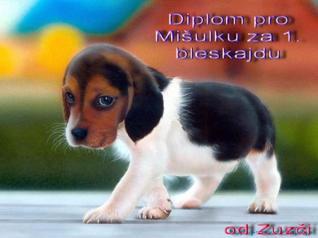 beagle-puppy
