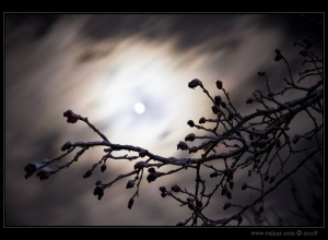 nocni02