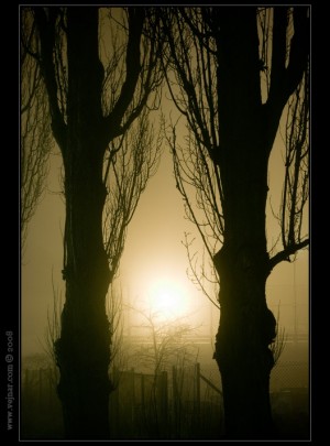 nocni05